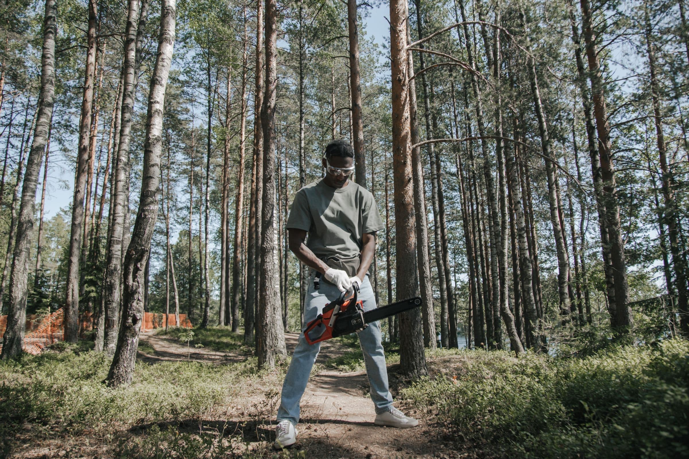 Tree crew member holding a chainsaw in an open pine forest